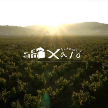 Enhancement of the Viticulture in the Xaló Valley